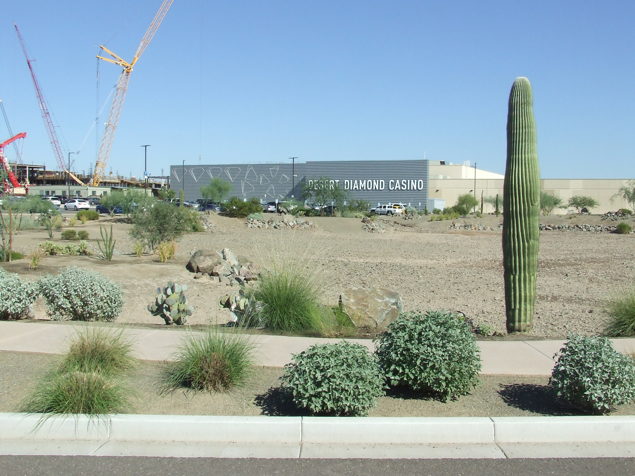 Desert Diamond West Valley Casino Project